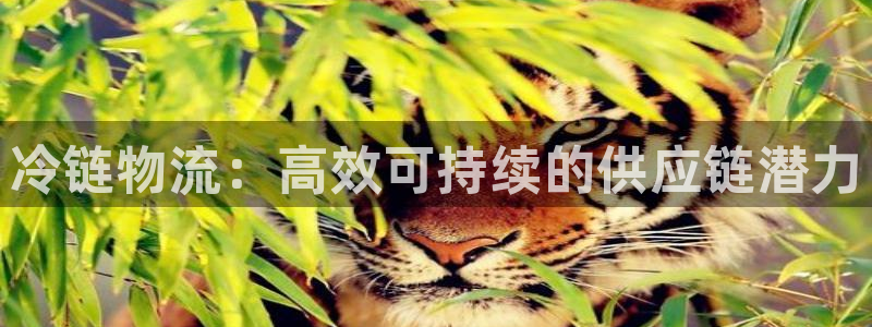 28圈赌博被抓