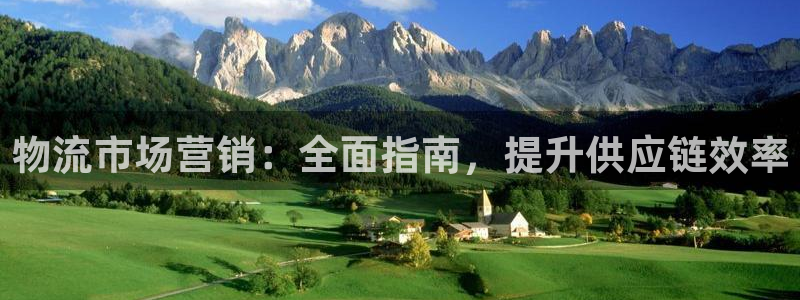 28圈注册送：物流市场营销：全面指南