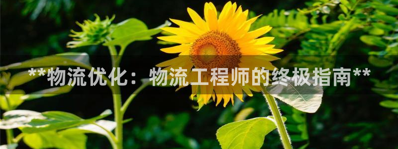 28圈起来的符号：**物流优化：物流