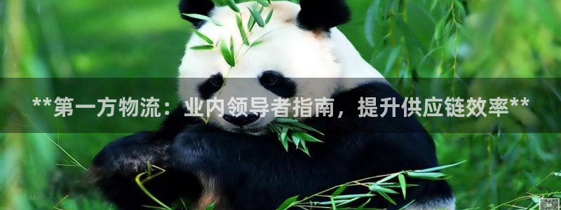 28圈可靠吗