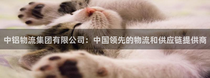 28圈登录流程：中铝物流集团有限公司