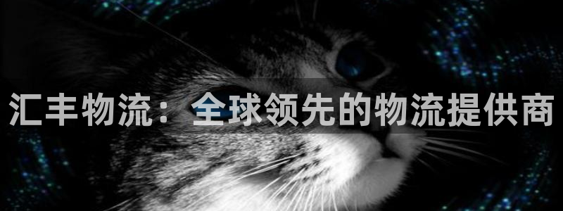 28圈注册网页版：汇丰物流：全球领先