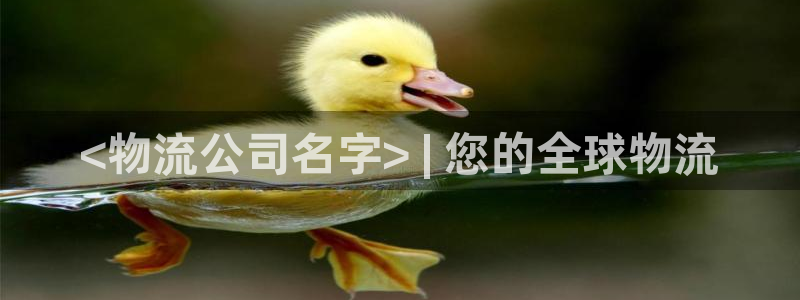 28圈官网开奖结果预测：<物流公司名