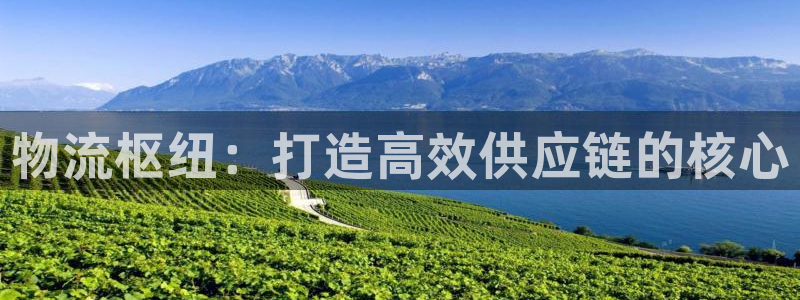 28圈.ccmpc预测：物流枢纽：打