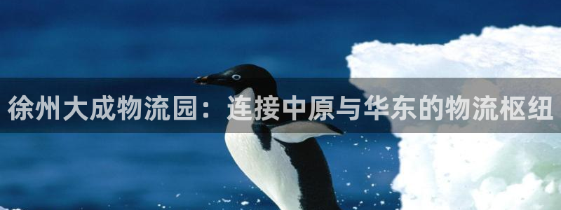 28圈里的财神