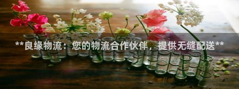 28圈加拿大模拟器