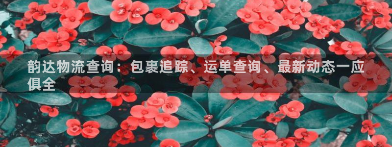 28圈.ccmpc是诈骗吗?