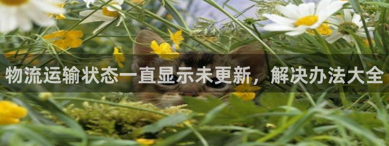 28圈的平台：物流运输状态一直显示未