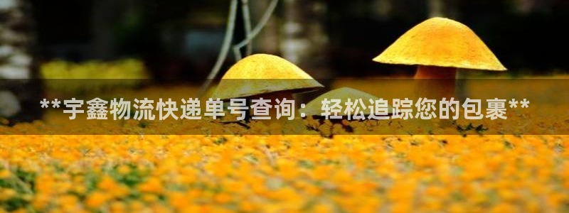 28圈官方网站预测：**宇鑫物流快递