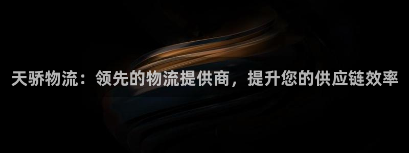 28圈v6能卖多少：天骄物流：领先的