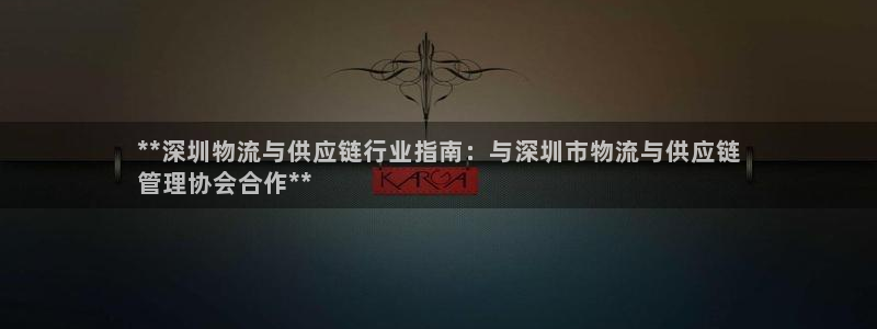 28圈正规吗?：**深圳物流与供应链