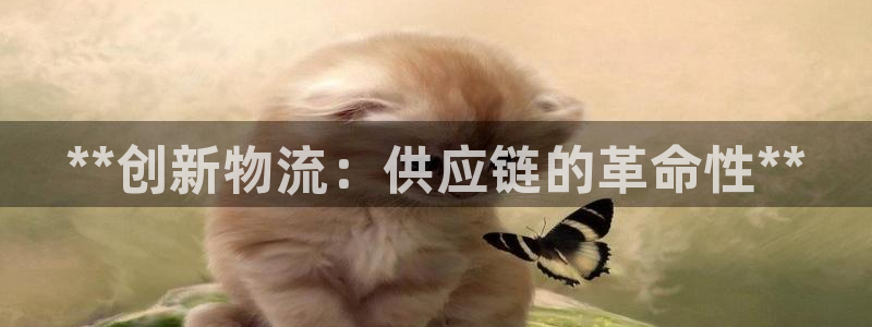 28圈注册网站多少钱一个：**创新物