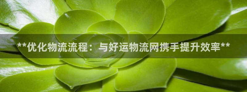 28圈绿骨头：**优化物流流程：与好