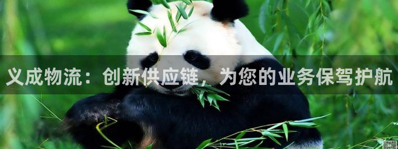 28圈注册网站多少钱一个：义成物流：