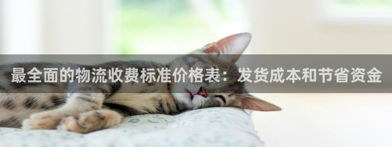 28圈现在狂杀：最全面的物流收费标准
