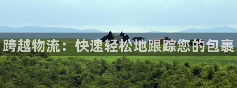 28圈是正规软件吗：跨越物流：快速轻