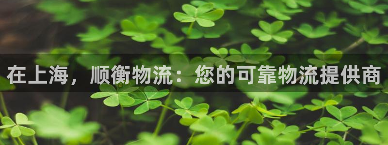 28圈.ccm南宫：在上海，顺衡物流