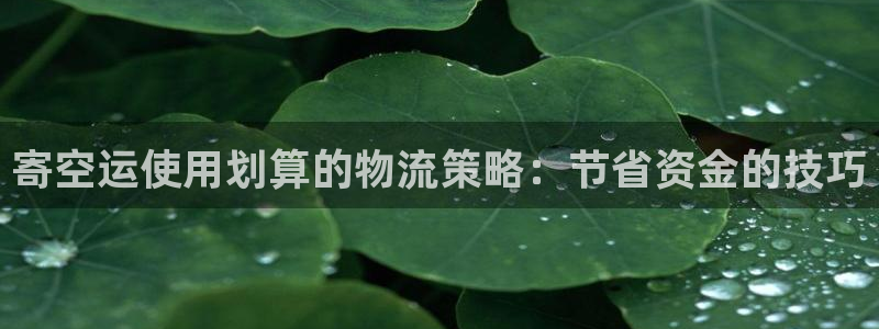 28圈注册用户名是什么：寄空运使用划