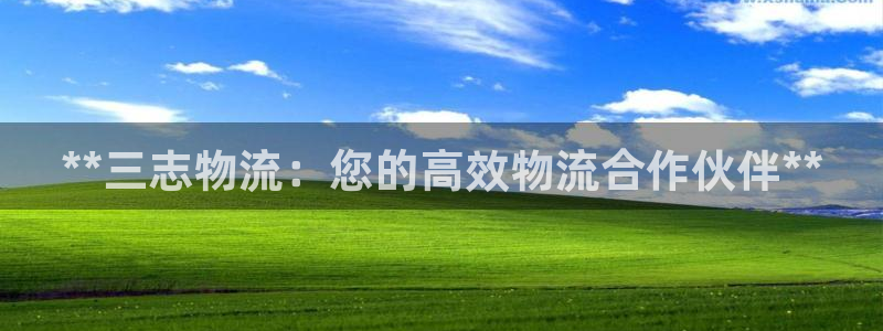 28圈反水：**三志物流：您的高效物