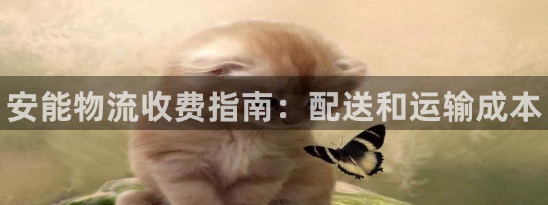 28圈大神预测：安能物流收费指南：配