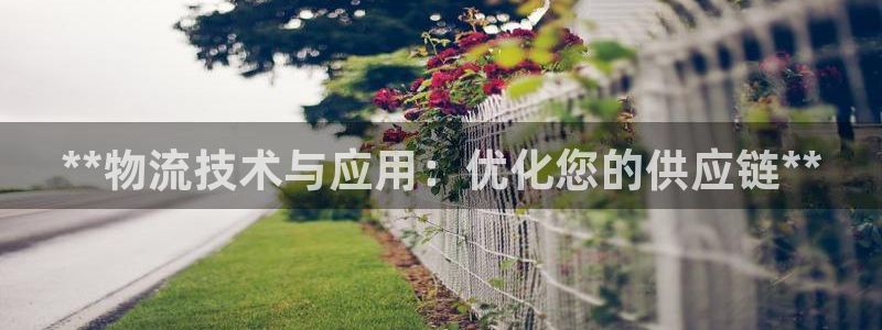 28圈可靠吗：**物流技术与应用：优