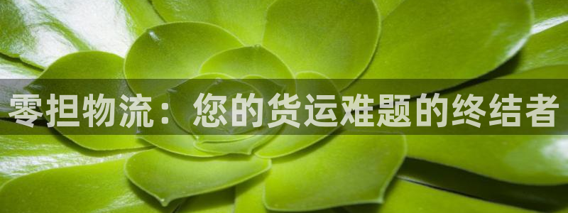 28圈app能退款吗：零担物流：您的