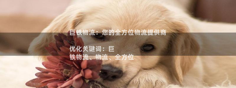 28圈注册官网：巨铁物流：您的全方位