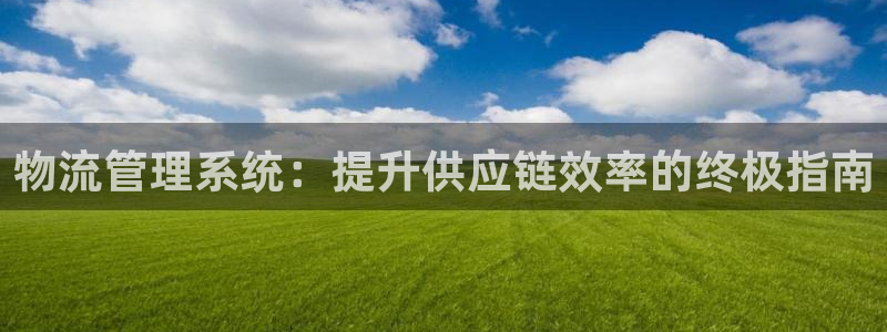 28圈连输10天：物流管理系统：提升