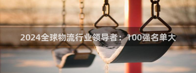 28圈黑款：2024全球物流行业领导