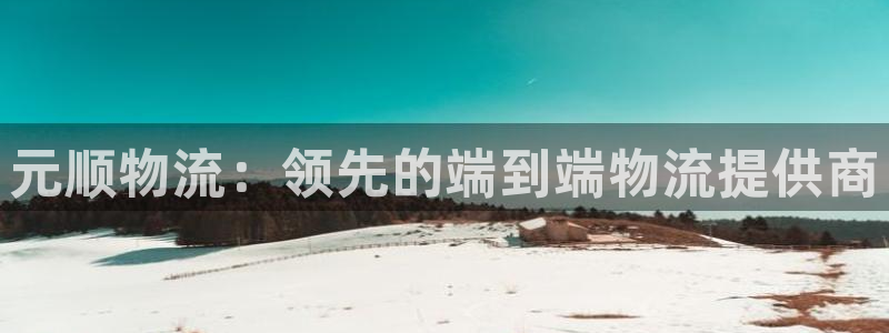 28圈pg如何退钱：元顺物流：领先的