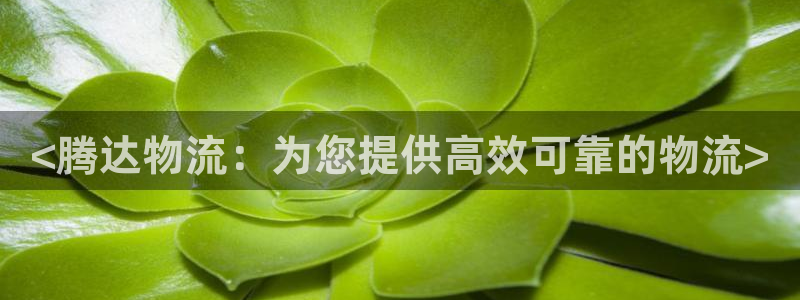 28圈机器人是什么软件：<腾达物流：