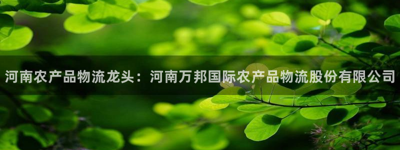 28圈官方版正版：河南农产品物流龙头