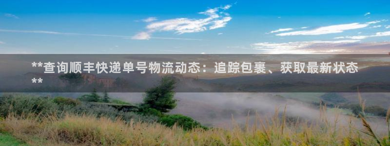 28圈模拟：**查询顺丰快递单号物流