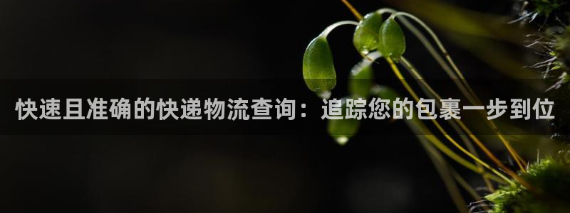 28圈开奖预测