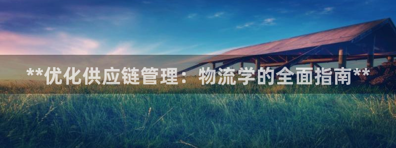 28圈注册送：**优化供应链管理：物