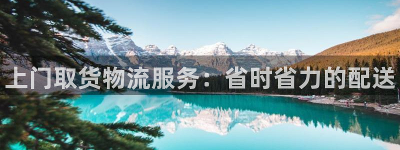 28圈是啥：上门取货物流服务：省时省