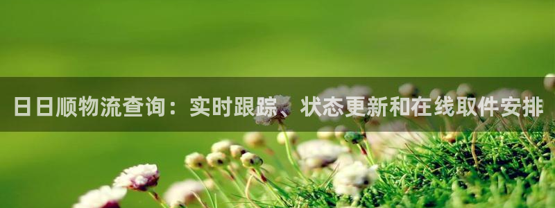 28圈赌博软件正规吗：日日顺物流查询