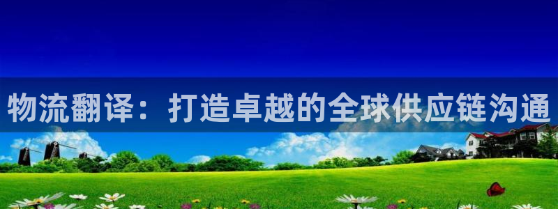 麻将128圈：物流翻译：打造卓越的全