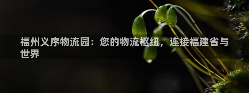 28圈怎么下载：福州义序物流园：您的