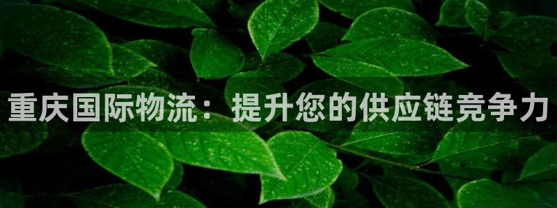 28圈技巧：重庆国际物流：提升您的供