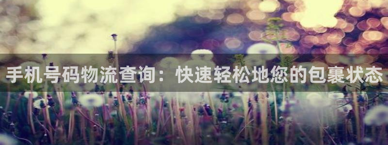 28圈麻将胡了在线试玩：手机号码物流