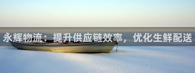 28圈网站平台：永辉物流：提升供应链