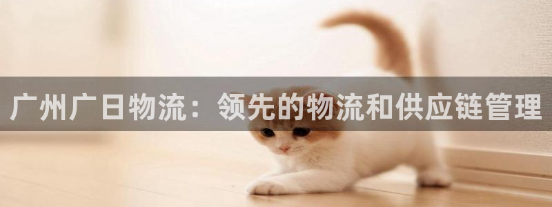 28圈预测：广州广日物流：领先的物流