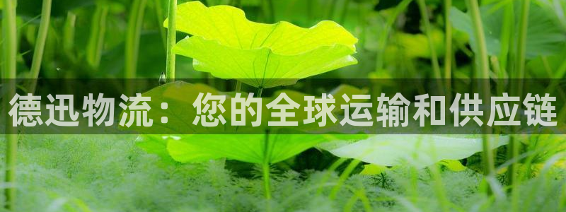 28圈头像