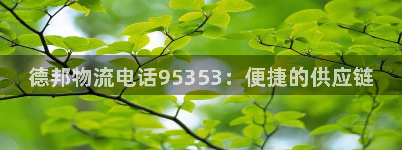 28圈官方版正版
