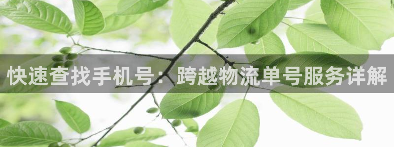 28圈软件是诈骗吗