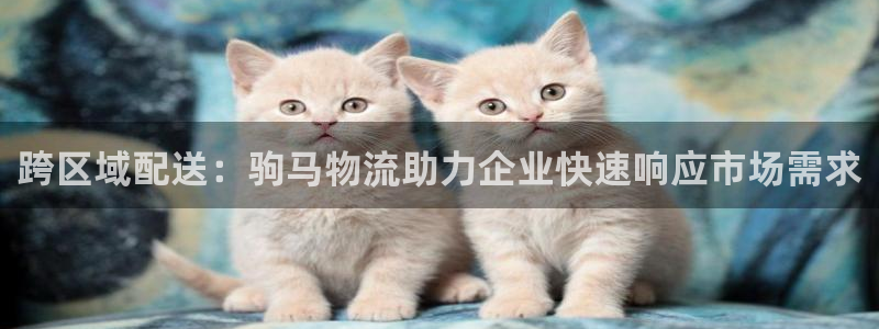 28圈软件有什么用