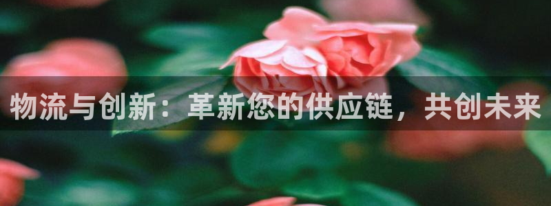 28圈.ccm正版
