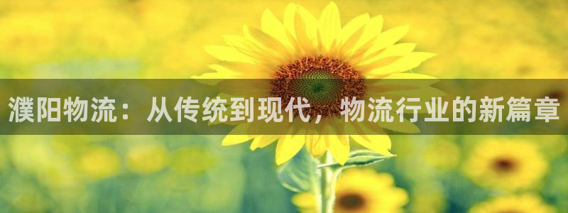 28圈官方