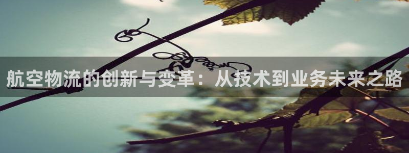 28圈是干嘛的
